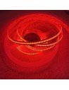 rgbw cob strip light 24v