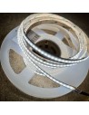 Adjustable-White-RGB-LED-Strip-5m-840-High-Density-LEDs-16W