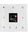 DALI 5-in-1 WiFi, RF & Kabelgebundenes Wandmontiertes Touchpanel TPS-D-WT